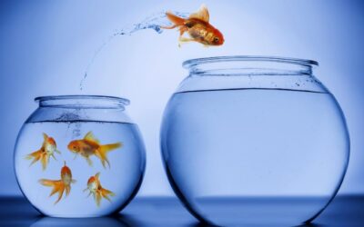 Bestandsübertragung